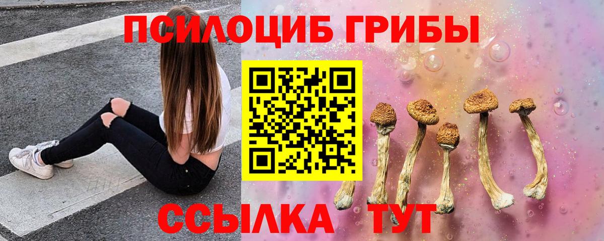 сколько стоит  Псилоцибиновые грибы Cubensis  Вход с VPN  Магнитогорск  Галлюциногенные грибы Psilocybe 