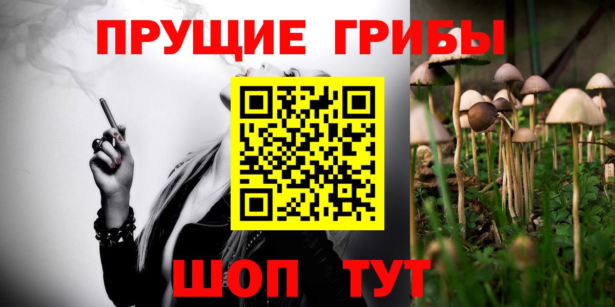 Псилоцибиновые грибы Psilocybine cubensis Магнитогорск